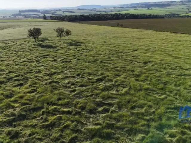 Fazenda venda em Região Imediata de Avaré, Taquarituba
