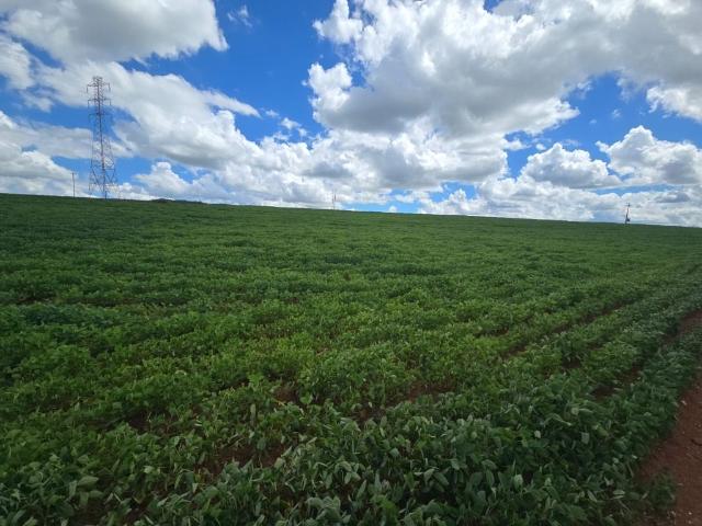 Fazenda venda em Região Imediata de Tatuí, Região Metropolitana de Sorocaba