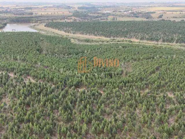 Fazenda venda em Região Imediata de Tatuí, Região Metropolitana de Sorocaba
