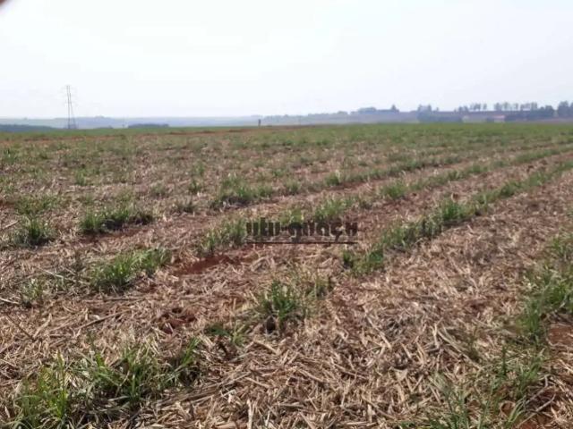 Fazenda venda em Região Imediata de Tatuí, Região Metropolitana de Sorocaba