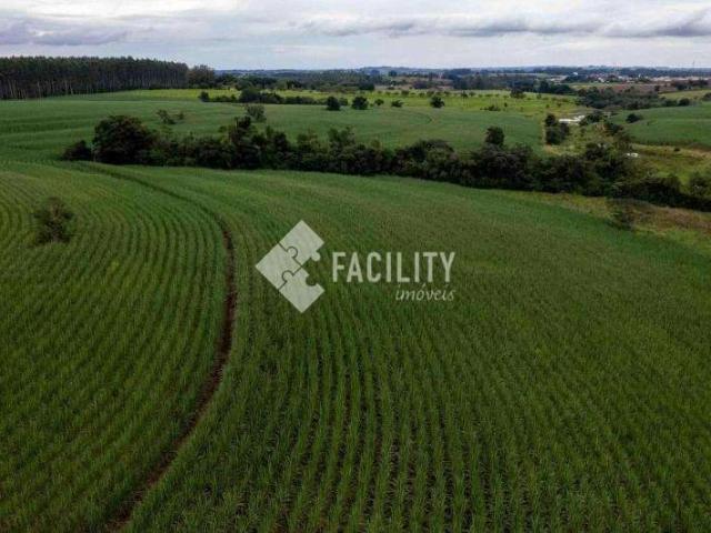 Fazenda venda em Tatuí