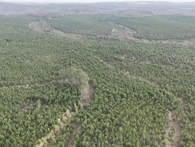 Fazenda venda em Região Imediata de Tatuí, Região Metropolitana de Sorocaba