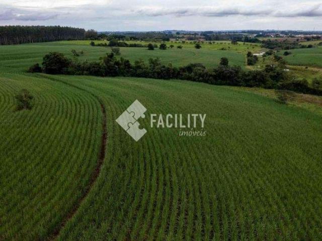 Fazenda venda em Região Imediata de Tatuí, Região Metropolitana de Sorocaba