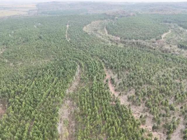 Fazenda venda em Região Imediata de Tatuí, Região Metropolitana de Sorocaba