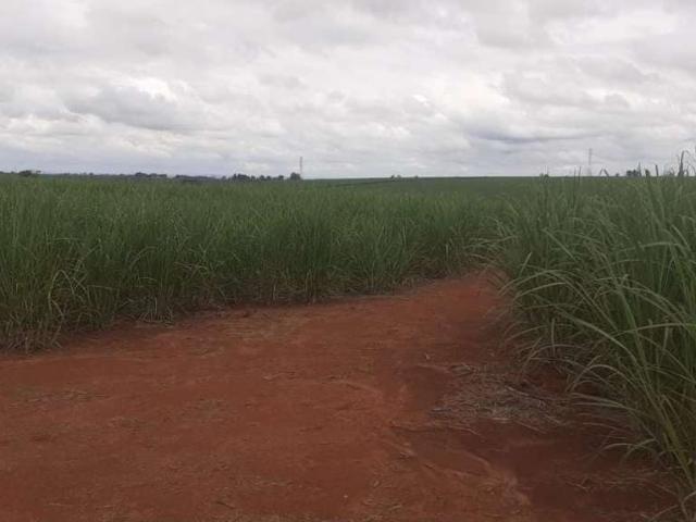 Fazenda venda em Região Imediata de Tatuí, Região Metropolitana de Sorocaba