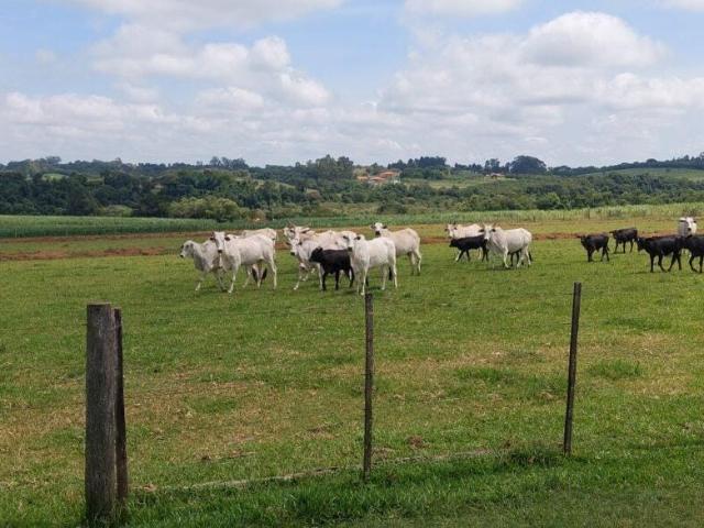 Fazenda venda em Tatuí