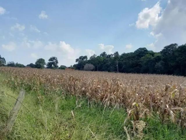 Fazenda venda em Região Imediata de Tatuí, Região Metropolitana de Sorocaba