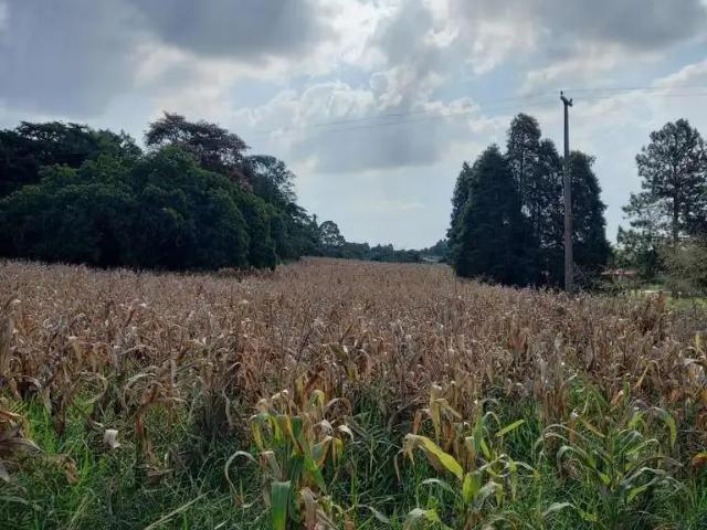 Fazenda venda em Região Imediata de Tatuí, Região Metropolitana de Sorocaba