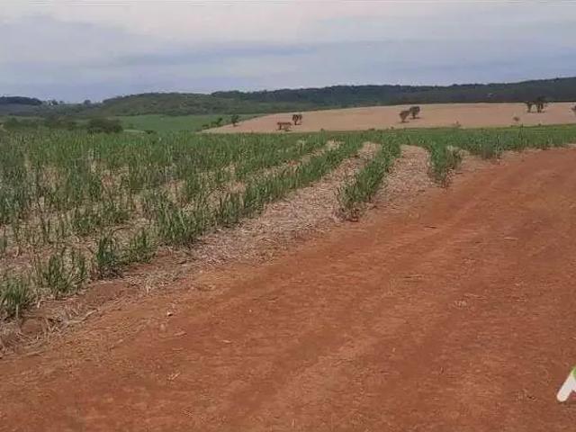 Fazenda venda em Tatuí, Vila Angélica