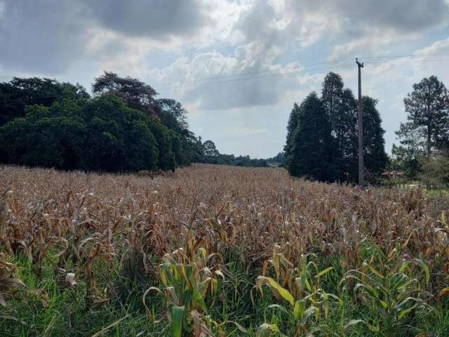 Fazenda venda em Tatuí
