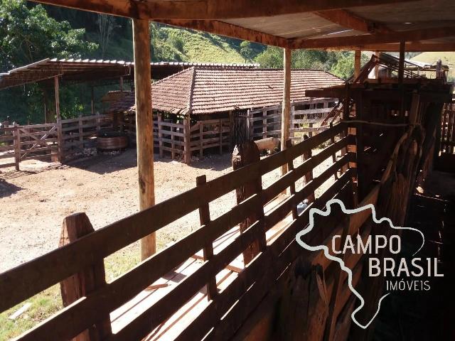 Fazenda venda em Piracangaguá, Taubaté