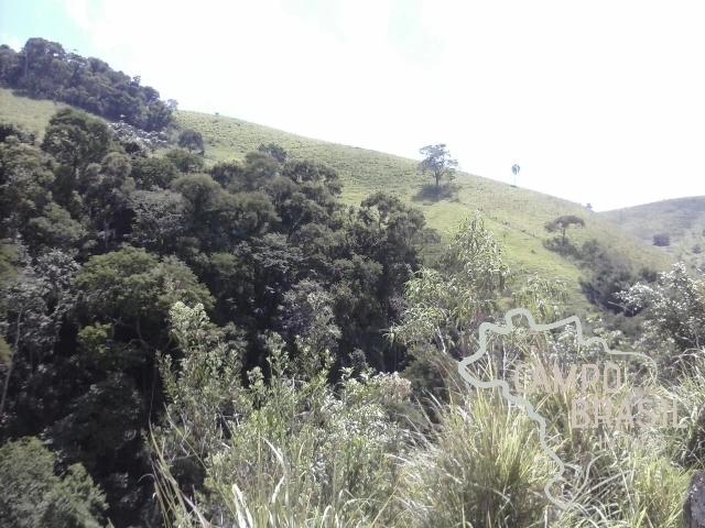 Fazenda venda em Piracangaguá, Taubaté