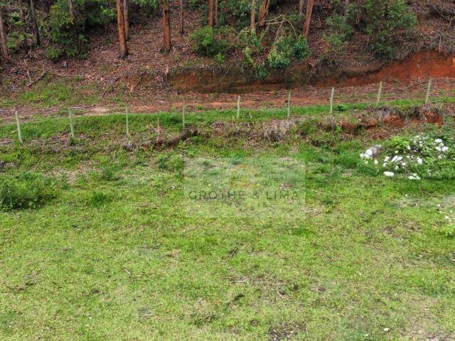 Fazenda venda em Vila Regedor, Taubaté