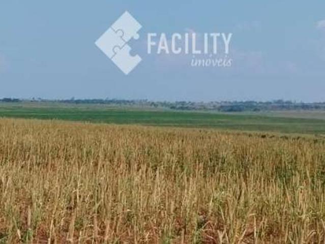 Fazenda venda em Região Imediata de Campinas, Região Metropolitana de Campinas