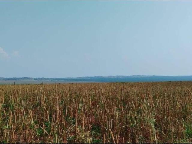 Fazenda venda em Região Imediata de Presidente Prudente, Teodoro Sampaio