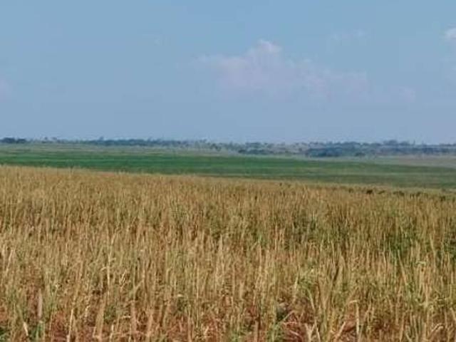 Fazenda venda em Região Imediata de Presidente Prudente, Teodoro Sampaio