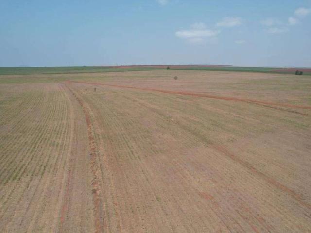 Fazenda venda em Teodoro Sampaio