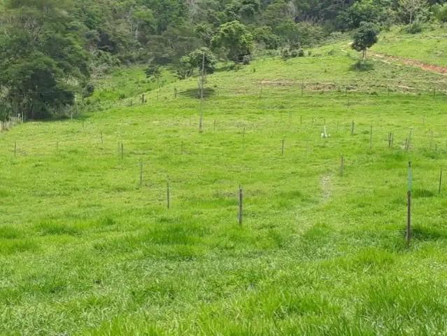 Fazenda venda em Região Geográfica Imediata de Teófilo Otoni, Teófilo Otoni
