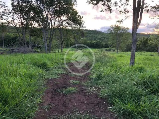 Fazenda venda em Região Geográfica Imediata de Campo Grande, Terenos