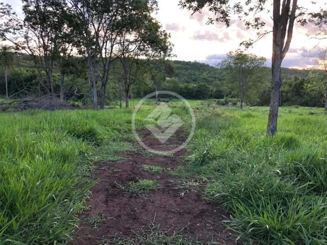 Fazenda venda em Terenos