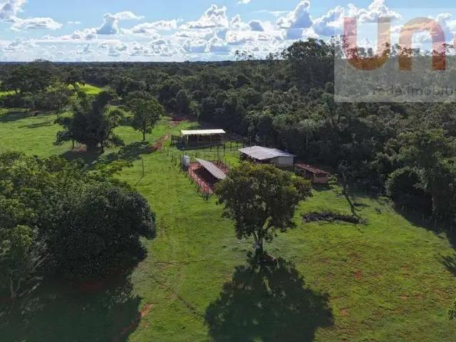 Fazenda venda em Região Geográfica Imediata de Campo Grande, Terenos