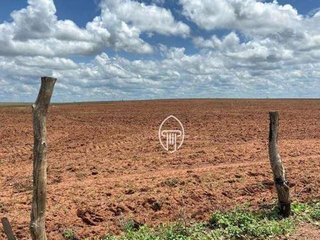 Fazenda venda em Região Geográfica Imediata de Teresina, Região Integrada de Desenvolvimento da Grande Teresina