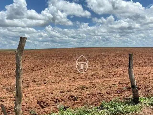 Fazenda venda em Região Geográfica Imediata de Teresina, Região Integrada de Desenvolvimento da Grande Teresina