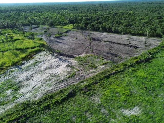 Fazenda venda em Região Geográfica Imediata de Teresina, Região Integrada de Desenvolvimento da Grande Teresina
