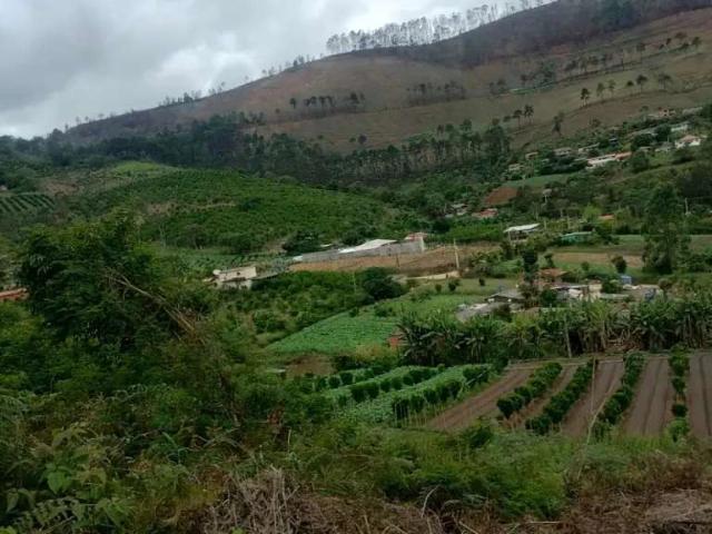 Fazenda venda em Teresópolis, Região Geográfica Intermediária de Petrópolis