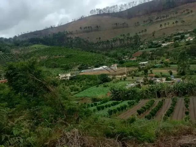 Fazenda venda em Região Geográfica Imediata de Petrópolis, São José do Vale do Rio Preto