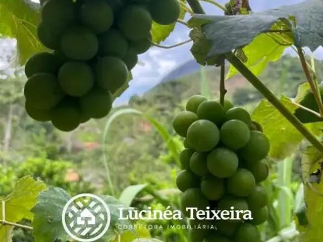Fazenda venda em Região Geográfica Imediata de Petrópolis, Teresópolis
