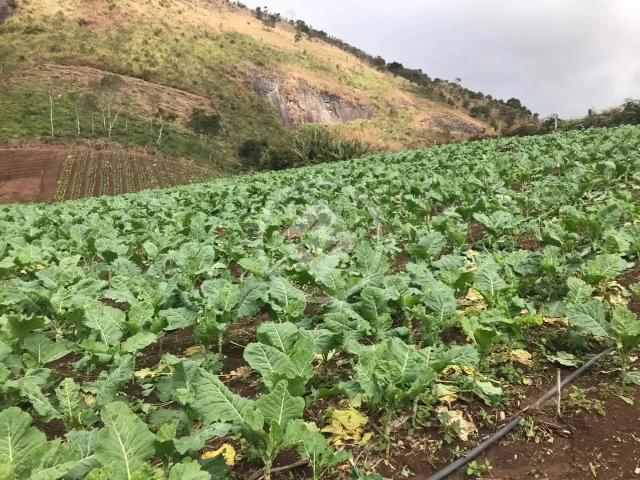 Fazenda venda em Vale de Bonsucesso, Teresópolis