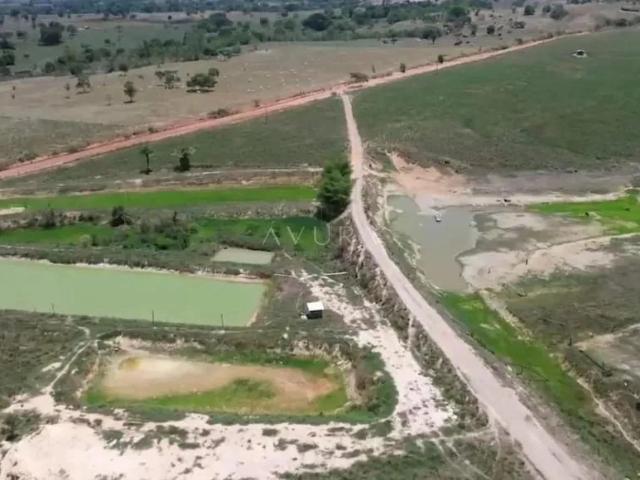 Fazenda venda em Terra Nova do Norte, Região Geográfica Intermediária de Sinop