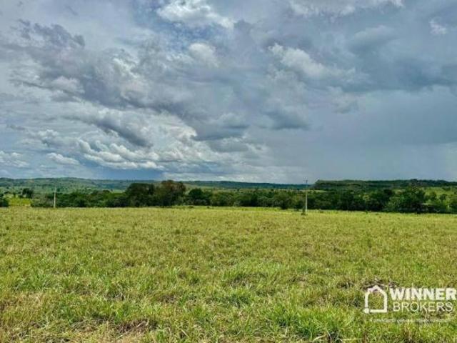 Sítio e chácara venda em Região Geográfica Imediata de Rondonópolis, Tesouro