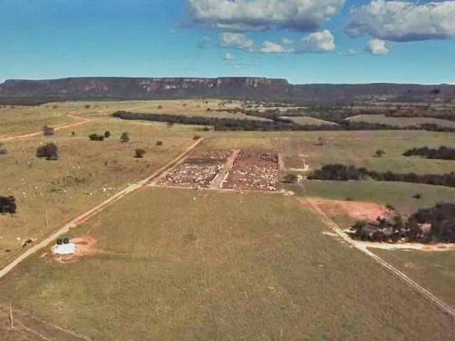 Sítio e chácara venda em Região Geográfica Imediata de Rondonópolis, Tesouro