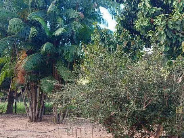 Fazenda venda em Região Geográfica Imediata de Cáceres, Antônio João