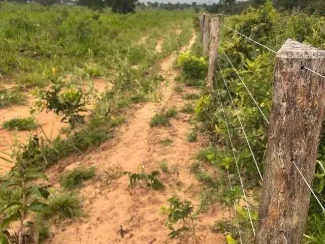 Fazenda venda em Região Geográfica Imediata de Rondonópolis, Tesouro