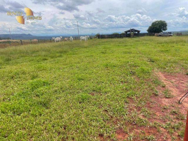 Fazenda venda em Centro, Cáceres