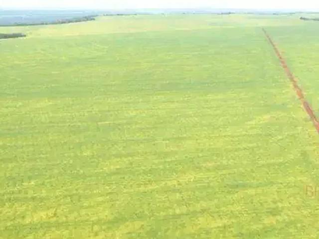 Fazenda venda em Região Geográfica Imediata de Cáceres, Antônio João