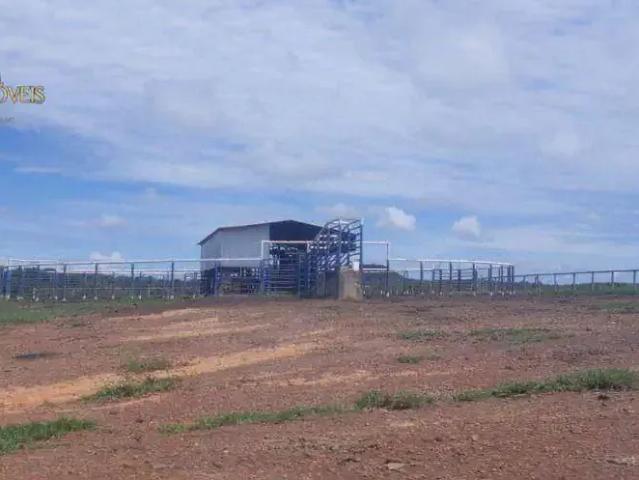Fazenda venda em Região Geográfica Imediata de Cáceres, Antônio João