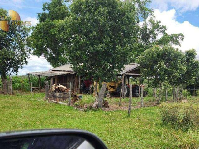 Fazenda venda em Centro, Cáceres