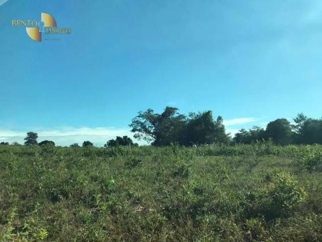 Fazenda venda em Região Geográfica Imediata de Cáceres, Antônio João