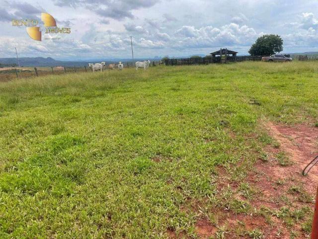 Fazenda venda em Região Geográfica Imediata de Cáceres, Antônio João