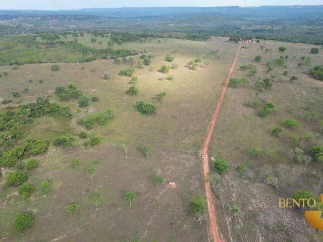 Fazenda venda em Região Geográfica Imediata de Cáceres, Antônio João