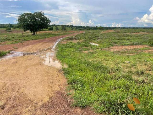 Fazenda venda em Região Geográfica Imediata de Cáceres, Antônio João