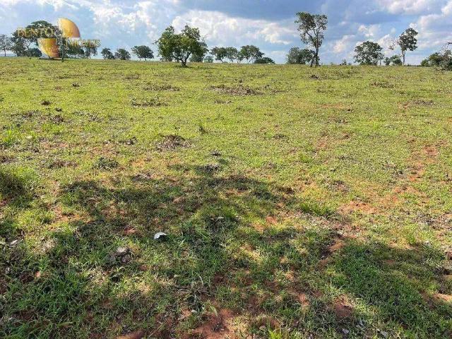 Fazenda venda em Região Geográfica Imediata de Cáceres, Antônio João