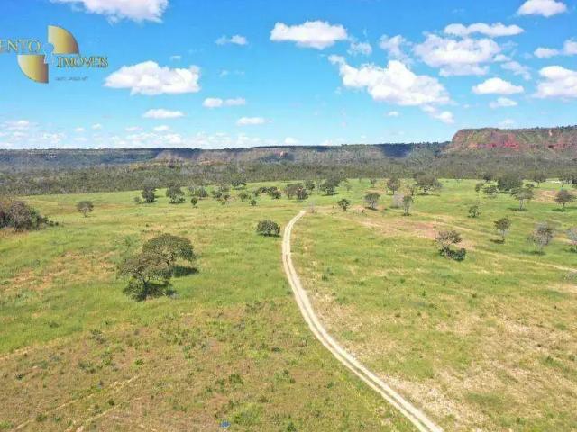 Fazenda venda em Região Geográfica Imediata de Rondonópolis, Tesouro