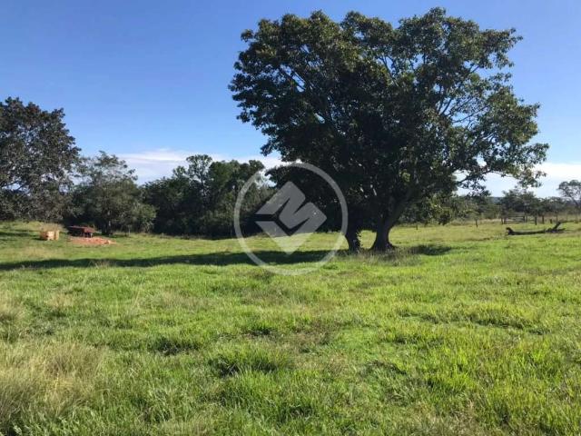 Fazenda venda em Região Geográfica Imediata de Rondonópolis, Tesouro