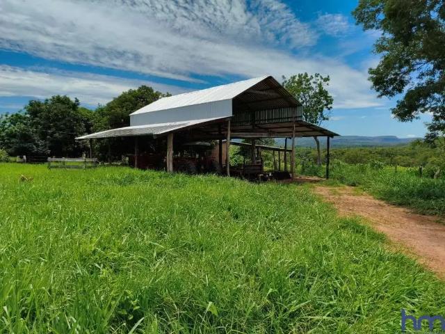 Fazenda venda em Região Geográfica Imediata de Rondonópolis, Tesouro