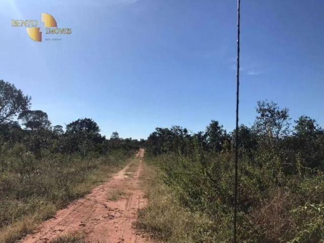 Fazenda venda em Região Geográfica Imediata de Rondonópolis, Tesouro